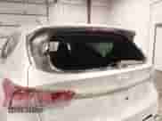 2019 Hyundai Santa Fe Limited z VIN 5NMS5CAA0KH110245, wystawiony jako IAAI lot #41626303 z przebiegiem 86 992 mil mil oraz . Historia ofert i sprzedaży dostępna na DreamBid. Obrazek 6.