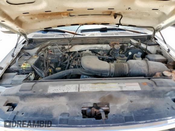 ✅ 1997 Ford F-150 XL • VIN: 1FTEX17L4VNB66944 • Lot: 62298315. Wystawiony na Copart z przebiegiem 172 314 mil. Bezpłatny archiwum sprzedaży aukcyjnych z USA i szczegółowy raport historii pojazdu na DreamBid. Zdjęcie 11.