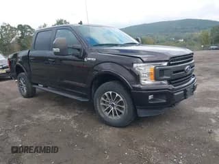 ✅ 2020 Ford F-150 XL • VIN: 1FTEW1E54LFB83662 • Lot: 43319683. Listed on IAAI with 49,026 mi. Free auction sales archive from the USA and detailed vehicle history report at DreamBid. Image 1.