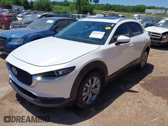 ✅ 2024 Mazda CX-30 S Preferred • VIN: 3MVDMBCM2RM617697 • Lot: 42142670. Listed on IAAI with Not provided. Free auction sales archive from the USA and detailed vehicle history report at DreamBid. Image 2.