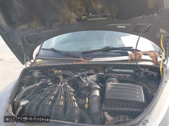 ✅ 2008 Chrysler PT Cruiser • VIN: 3C3HY55E98T143593 • Lot: 42042367. Listed on IAAI with 127,207 mi. Free auction sales archive from the USA and detailed vehicle history report at DreamBid. Image 10.