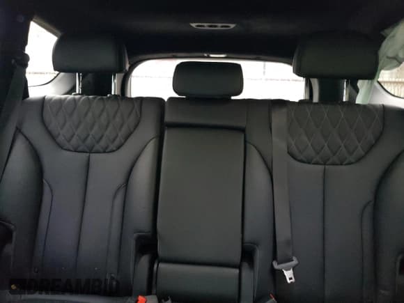 ✅ 2023 Hyundai Santa Fe Calligraphy • VIN: 5NMS5DAL9PH604070 • Lot: 91495635. Listed on Copart with 23,774 mi. Free auction sales archive from the USA and detailed vehicle history report at DreamBid. Image 10.