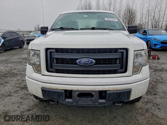 ✅ 2013 Ford F-150 XL • VIN: 1FTEX1EM0DKE12383 • Lot: 95267645. Wystawiony na Copart z przebiegiem 212 171 mil. Bezpłatny archiwum sprzedaży aukcyjnych z USA i szczegółowy raport historii pojazdu na DreamBid. Zdjęcie 5.