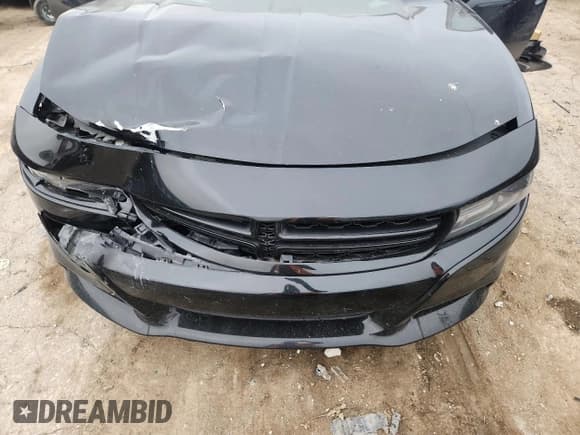 ✅ 2015 Dodge Charger SXT • VIN: 2C3CDXHG9FH915031 • Lot: 60565025. Listed on Copart with 187,236 mi. Free auction sales archive from the USA and detailed vehicle history report at DreamBid. Image 11.