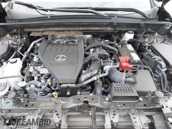 ✅ 2023 Lexus NX 350 Premium • VIN: 2T2GGCEZXPC027494 • Lot: 42009651. Listed on IAAI with 4,976 mi. Free auction sales archive from the USA and detailed vehicle history report at DreamBid. Image 10.