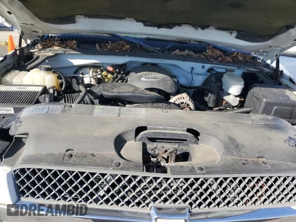 ✅ 2003 Chevrolet Silverado 1500 LS • VIN: 1GCEK19T73E331085 • Лот: 75518674. Опубликован ранее на Copart с пробегом Не указан. Бесплатный доступ к архиву аукционных продаж из США и подробный отчёт об истории автомобиля на DreamBid. Изображение 11.