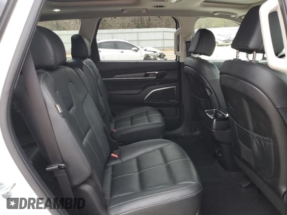 ✅ 2024 Kia Telluride SX • VIN: 5XYP54GC0RG461259 • Lot: 85143094. Listed on Copart with 37,874 mi. Free auction sales archive from the USA and detailed vehicle history report at DreamBid. Image 12.