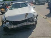 ✅ 2009 Acura TSX • VIN: JH4CU26659C025270 • Lot: 61029145. Listed on Copart with Not provided. Free auction sales archive from the USA and detailed vehicle history report at DreamBid. Image 13.