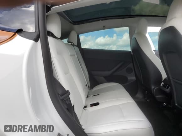 ✅ 2022 Tesla Model Y Performance • VIN: 7SAYGDEF4NF529899 • Lot: 89920025. Listed on Copart with 60,303 mi. Free auction sales archive from the USA and detailed vehicle history report at DreamBid. Image 10.