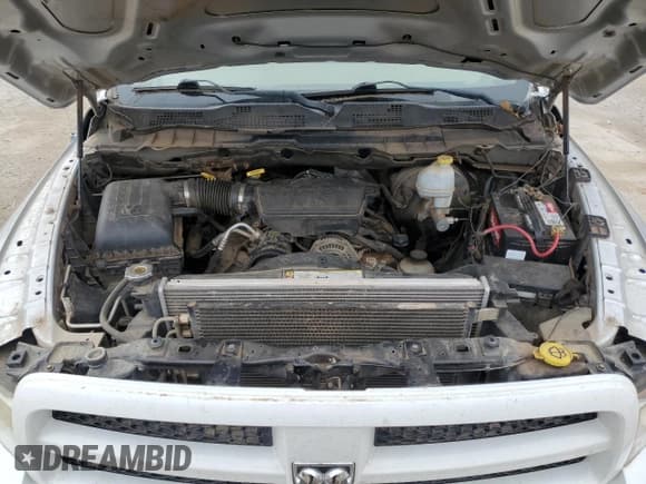 ✅ 2009 Dodge 1500 SLT • VIN: 1D3HB18P09S793216 • Lot: 48635255. Wystawiony na Copart z przebiegiem 202 182 mil. Bezpłatny archiwum sprzedaży aukcyjnych z USA i szczegółowy raport historii pojazdu na DreamBid. Zdjęcie 11.