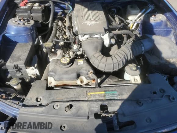 ✅ 2007 Ford Mustang GT Deluxe • VIN: 1ZVHT82H675250428 • Лот: 86069425. Опубликован ранее на Copart с пробегом 38 147 миль. Бесплатный доступ к архиву аукционных продаж из США и подробный отчёт об истории автомобиля на DreamBid. Изображение 11.