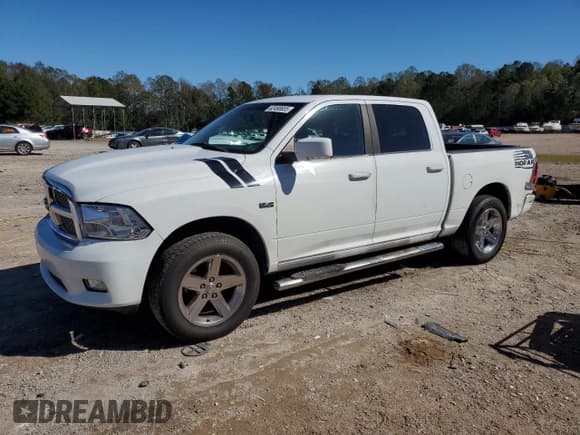 ✅ 2010 Dodge 1500 SLT • VIN: 1D7RB1CT3AS109349 • Lot: 82490655. Listed on Copart with 255,407 mi. Free auction sales archive from the USA and detailed vehicle history report at DreamBid. Image 1.
