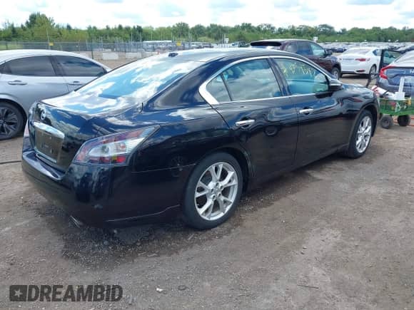 2013 Nissan Maxima SV с VIN 1N4AA5AP2DC832606, выставлен на аукционе IAAI как лот 43054542 с пробегом 121 147 миль миль и . История ставок и продаж доступна на DreamBid. Изображение 4.