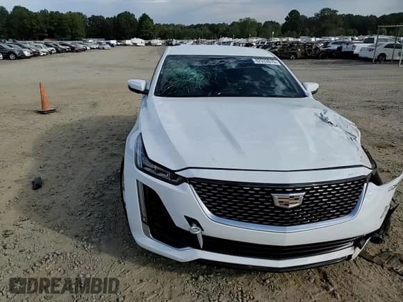 ✅ 2021 Cadillac CT5 Premium Luxury • VIN: 1G6DT5RK1M0111451 • Lot: 82533015. Listed on Copart with 56,060 mi. Free auction sales archive from the USA and detailed vehicle history report at DreamBid. Image 13.