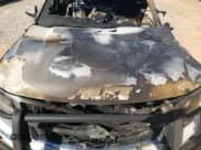 ✅ 2019 Chevrolet Tahoe Commercial • VIN: 1GNLCDEC7KR242739 • Lot: 85750395. Wystawiony na Copart z przebiegiem Nie podano. Bezpłatny archiwum sprzedaży aukcyjnych z USA i szczegółowy raport historii pojazdu na DreamBid. Zdjęcie 12.