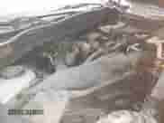 2015 Subaru Forester Premium with VIN JF2SJAFC2FH814174, listed as a IAAI auction lot 43394081 with 149,438 mi miles and . Bid and sale history available at DreamBid. Image 10.