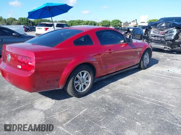 ✅ 2009 Ford Mustang • VIN: 1ZVHT80N995123846 • Лот: 42984856. Опубликован ранее на IAAI с пробегом 162 207 миль. Бесплатный доступ к архиву аукционных продаж из США и подробный отчёт об истории автомобиля на DreamBid. Изображение 4.