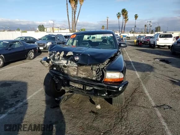 ✅ 2002 Dodge Dakota Sport • VIN: 1B7HG38N82S697439 • Lot: 44282155. Wystawiony na Copart z przebiegiem 239 414 mil. Bezpłatny archiwum sprzedaży aukcyjnych z USA i szczegółowy raport historii pojazdu na DreamBid. Zdjęcie 10.