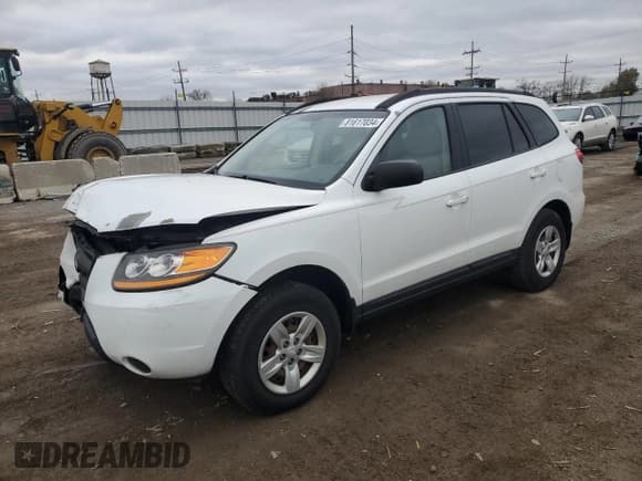 ✅ 2009 Hyundai Santa Fe GLS • VIN: 5NMSG13D89H319460 • Lot: 81617034. Listed on Copart with 131,906 mi. Free auction sales archive from the USA and detailed vehicle history report at DreamBid. Image 1.