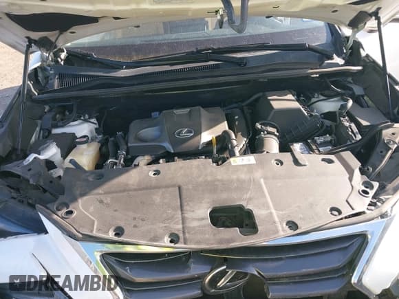 ✅ 2017 Lexus NX 200t • VIN: JTJYARBZ0H2072636 • Lot: 42590335. Listed on IAAI with 78,863 mi. Free auction sales archive from the USA and detailed vehicle history report at DreamBid. Image 10.