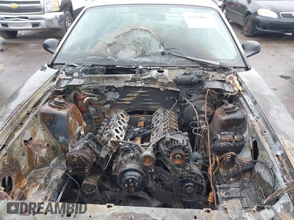 ✅ 2004 Ford Mustang Standard • VIN: 1FAFP40464F125870 • Lot: 43501805. Listed on IAAI with Not provided. Free auction sales archive from the USA and detailed vehicle history report at DreamBid. Image 10.
