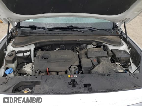 ✅ 2020 Hyundai Santa Fe SEL • VIN: 5NMS33ADXLH221760 • Lot: 72428184. Wystawiony na Copart z przebiegiem 97 335 mil. Bezpłatny archiwum sprzedaży aukcyjnych z USA i szczegółowy raport historii pojazdu na DreamBid. Zdjęcie 12.