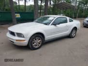 ✅ 2008 Ford Mustang Deluxe • VIN: 1ZVHT80N185208081 • Лот: 42360271. Опубликован ранее на IAAI с пробегом 77 494 миль. Бесплатный доступ к архиву аукционных продаж из США и подробный отчёт об истории автомобиля на DreamBid. Изображение 2.