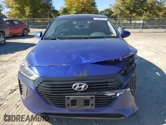 ✅ 2019 Hyundai Ioniq Blue • VIN: KMHC65LC7KU165906 • Lot: 76590314. Wystawiony na Copart z przebiegiem 207 165 mil. Bezpłatny archiwum sprzedaży aukcyjnych z USA i szczegółowy raport historii pojazdu na DreamBid. Zdjęcie 5.