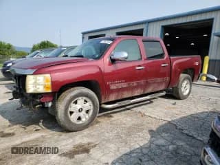 ✅ 2008 Chevrolet Silverado 1500 LTZ • VIN: 3GCEK13JX8G265719 • Lot: 67042044. Listed on Copart with 285,519 mi. Free auction sales archive from the USA and detailed vehicle history report at DreamBid. Image 1.