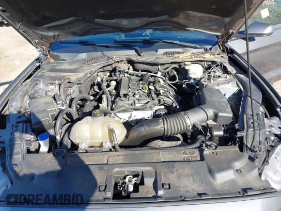 ✅ 2021 Ford Mustang EcoBoost • VIN: 1FA6P8TH8M5134940 • Lot: 43373024. Listed on IAAI with 55,343 mi. Free auction sales archive from the USA and detailed vehicle history report at DreamBid. Image 10.