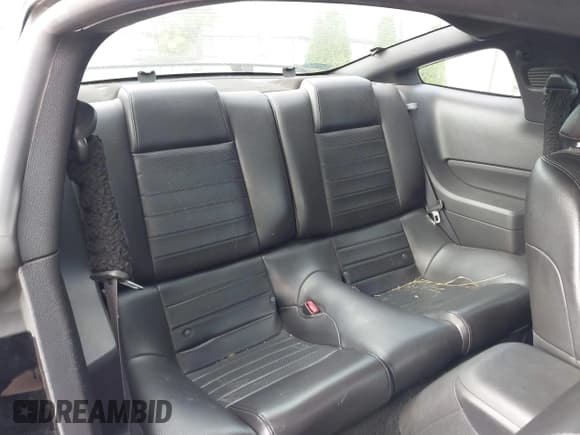 ✅ 2005 Ford Mustang GT Deluxe • VIN: 1ZVFT82H855114371 • Lot: 42705904. Listed on IAAI with 152,158 mi. Free auction sales archive from the USA and detailed vehicle history report at DreamBid. Image 8.