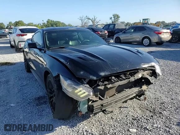 ✅ 2017 Ford Mustang GT Premium • VIN: 1FA6P8CF4H5289859 • Lot: 82292765. Wystawiony na Copart z przebiegiem 83 723 mil. Bezpłatny archiwum sprzedaży aukcyjnych z USA i szczegółowy raport historii pojazdu na DreamBid. Zdjęcie 13.