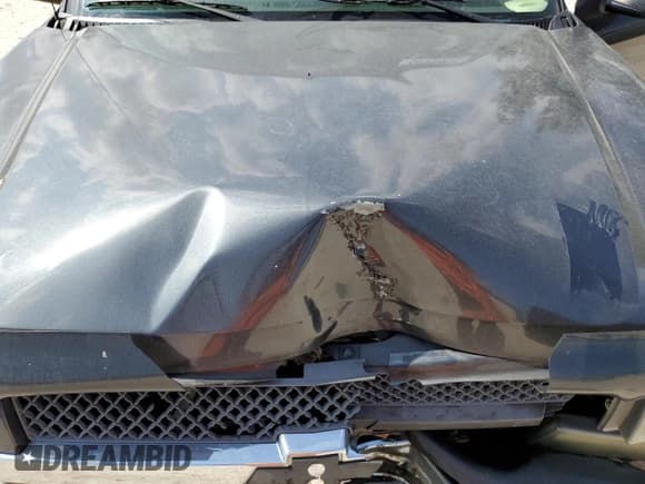 ✅ 2004 Chevrolet Silverado 1500 LS • VIN: 2GCEC13T041357987 • Лот: 66550254. Опубликован ранее на Copart с пробегом 277 941 миль. Бесплатный доступ к архиву аукционных продаж из США и подробный отчёт об истории автомобиля на DreamBid. Изображение 11.