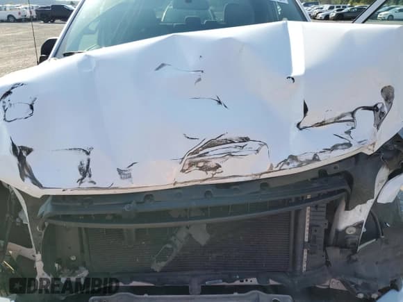 ✅ 2019 Ford F-150 XL • VIN: 1FTEX1CP2KKC81743 • Lot: 62764705. Listed on Copart with 106,783 mi. Free auction sales archive from the USA and detailed vehicle history report at DreamBid. Image 11.