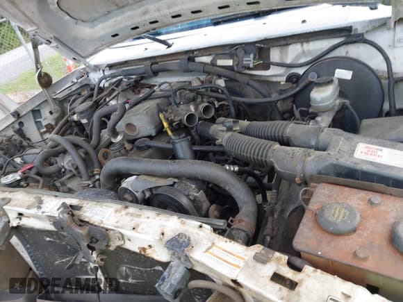 ✅ 1995 Ford F-150 • VIN: 1FTDF15Y2SNA03900 • Lot: 42128479. Wystawiony na IAAI z przebiegiem 262 871 mil. Bezpłatny archiwum sprzedaży aukcyjnych z USA i szczegółowy raport historii pojazdu na DreamBid. Zdjęcie 10.