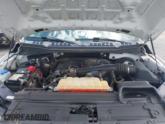 ✅ 2019 Ford F-150 XL • VIN: 1FTMF1CBXKKC00586 • Lot: 42243092. Listed on IAAI with 22,427 mi. Free auction sales archive from the USA and detailed vehicle history report at DreamBid. Image 10.