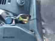 2009 Chevrolet Silverado 1500 LT z VIN 1GCEK29J79Z126226, wystawiony jako IAAI lot #43485064 z przebiegiem 249 687 mil mil oraz . Historia ofert i sprzedaży dostępna na DreamBid. Obrazek 11.