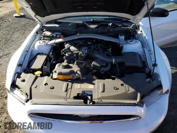 2014 Ford Mustang V6 с VIN 1ZVBP8EM5E5310442, выставлен на аукционе Copart как лот 89859995 с пробегом 110 663 миль миль и Чистый • Clean title. История ставок и продаж доступна на DreamBid. Изображение 11.