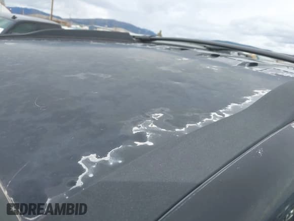 ✅ 2005 Chevrolet Equinox LS • VIN: 2CNDL23F556194443 • Лот: 41892253. Опубликован ранее на IAAI с пробегом 178 263 миль. Бесплатный доступ к архиву аукционных продаж из США и подробный отчёт об истории автомобиля на DreamBid. Изображение 17.