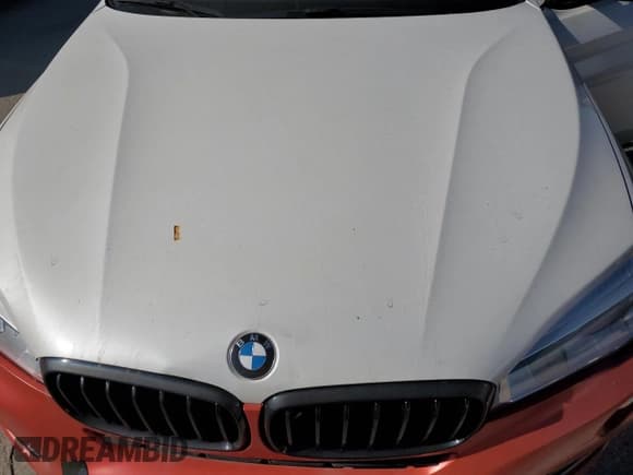 ✅ 2017 BMW X6 M • VIN: 5YMKW8C33H0U71879 • Lot: 86025064. Listed on Copart with 52,064 mi. Free auction sales archive from the USA and detailed vehicle history report at DreamBid. Image 12.