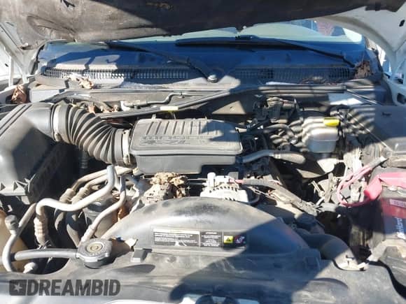 2005 Dodge Dakota Laramie with VIN 1D7HW58N35S189677, listed as a IAAI auction lot 41335613 with 159,501 mi miles and . Bid and sale history available at DreamBid. Image 10.