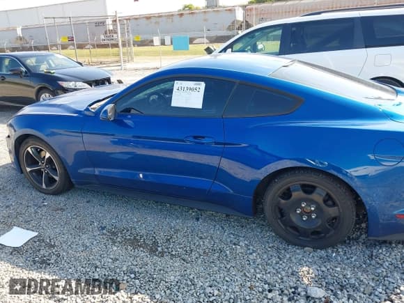 ✅ 2018 Ford Mustang EcoBoost • VIN: 1FA6P8TH9J5127801 • Lot: 43139052. Wystawiony na IAAI z przebiegiem 138 658 mil. Bezpłatny archiwum sprzedaży aukcyjnych z USA i szczegółowy raport historii pojazdu na DreamBid. Zdjęcie 15.