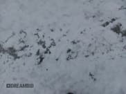 ✅ 2007 Chevrolet Silverado 2500HD 2LT • VIN: 1GCHK29667E600048 • Лот: 77536604. Опубликован ранее на Copart с пробегом Не указан. Бесплатный доступ к архиву аукционных продаж из США и подробный отчёт об истории автомобиля на DreamBid. Изображение 2.