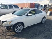 ✅ 2012 Nissan Maxima S • VIN: 1N4AA5AP0CC858913 • Lot: 43769925. Listed on IAAI with Not provided. Free auction sales archive from the USA and detailed vehicle history report at DreamBid. Image 2.