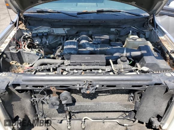 ✅ 2010 Ford F-150 XL • VIN: 1FTFW1EV2AFC00699 • Lot: 60511295. Listed on Copart with 220,667 mi. Free auction sales archive from the USA and detailed vehicle history report at DreamBid. Image 11.