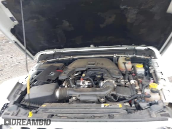 ✅ 2021 Jeep Wrangler Unlimited Rubicon • VIN: 1C4HJXFG9MW714239 • Лот: 42874381. Опубликован ранее на IAAI с пробегом 81 545 миль. Бесплатный доступ к архиву аукционных продаж из США и подробный отчёт об истории автомобиля на DreamBid. Изображение 10.