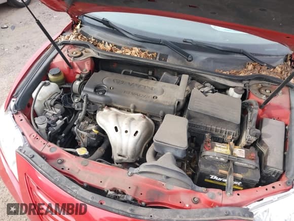 ✅ 2007 Toyota Camry CE • VIN: 4T1BE46K67U089288 • Lot: 43315005. Wystawiony na IAAI z przebiegiem 219 326 mil. Bezpłatny archiwum sprzedaży aukcyjnych z USA i szczegółowy raport historii pojazdu na DreamBid. Zdjęcie 10.