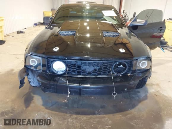 ✅ 2009 Ford Mustang GT • VIN: 1ZVHT82HX95119182 • Лот: 41345075. Опубликован ранее на IAAI с пробегом 145 202 миль. Бесплатный доступ к архиву аукционных продаж из США и подробный отчёт об истории автомобиля на DreamBid. Изображение 6.