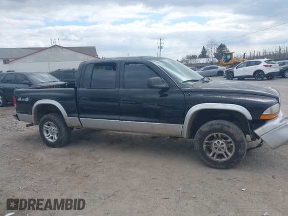 ✅ 2004 Dodge Dakota SLT • VIN: 1D7HG48N14S503851 • Lot: 41883437. Wystawiony na IAAI z przebiegiem 225 505 mil. Bezpłatny archiwum sprzedaży aukcyjnych z USA i szczegółowy raport historii pojazdu na DreamBid. Zdjęcie 13.