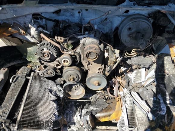 ✅ 2006 Chevrolet Silverado 1500 Work Truck • VIN: 1GCEC19X36Z273604 • Lot: 85854195. Wystawiony na Copart z przebiegiem Nie podano. Bezpłatny archiwum sprzedaży aukcyjnych z USA i szczegółowy raport historii pojazdu na DreamBid. Zdjęcie 11.